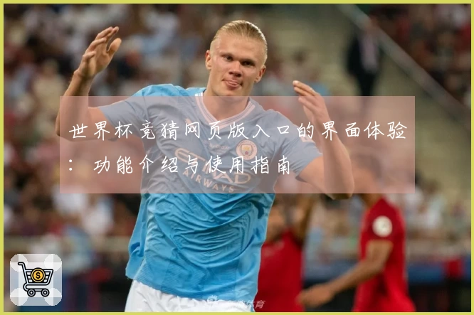 世界杯竞猜网页版入口的界面体验:功能介绍与使用指南