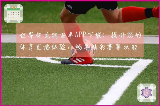 世界杯竞猜安卓APP下载：提升您的体育直播体验，畅享精彩赛事功能