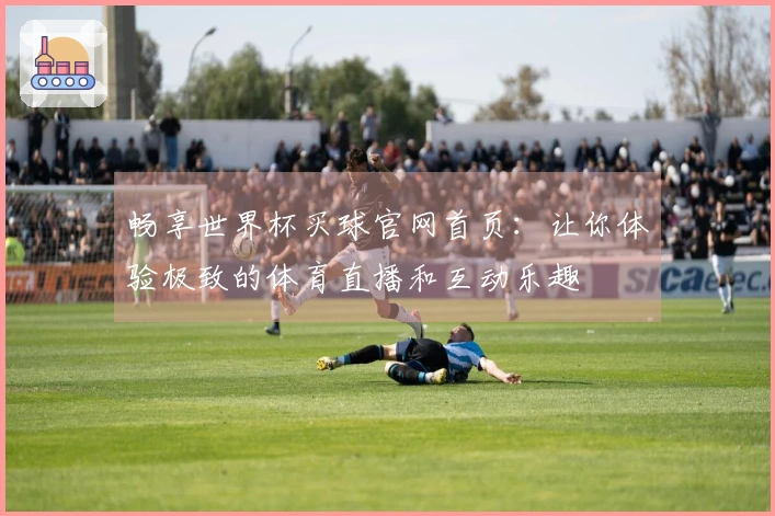 畅享世界杯买球官网首页：让你体验极致的体育直播和互动乐趣