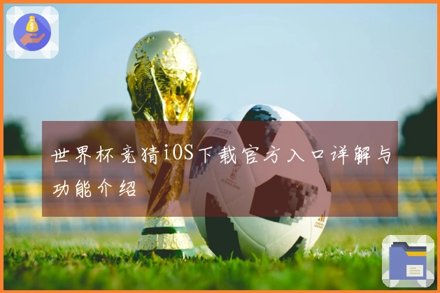 世界杯竞猜iOS下载官方入口详解与功能介绍