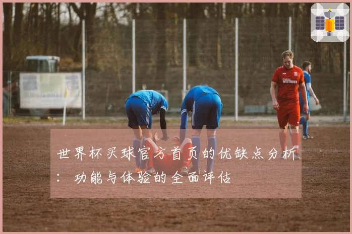 世界杯买球官方首页的优缺点分析：功能与体验的全面评估