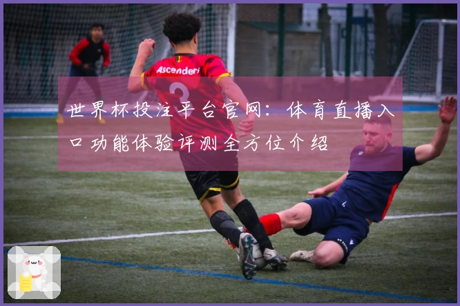 世界杯投注平台官网：体育直播入口功能体验评测全方位介绍