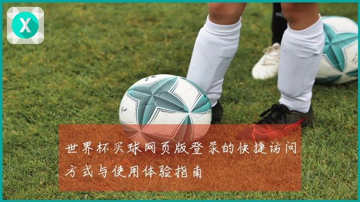世界杯买球网页版登录的快捷访问方式与使用体验指南
