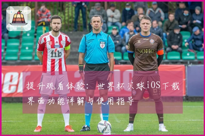 提升观看体验：世界杯买球iOS下载界面功能详解与使用指导