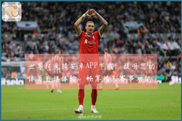 世界杯竞猜安卓APP下载：提升您的体育直播体验，畅享精彩赛事功能