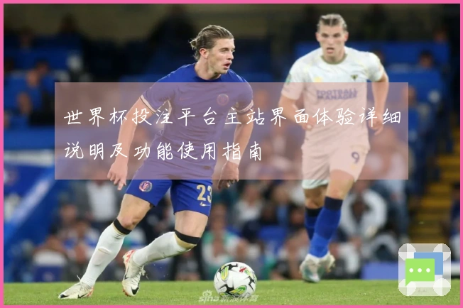 世界杯投注平台主站界面体验详细说明及功能使用指南